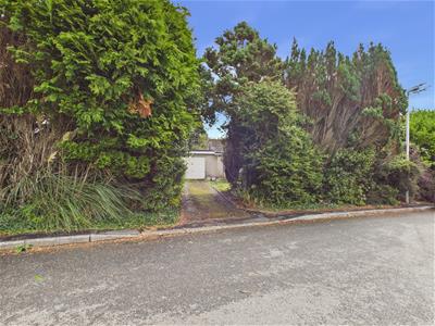 Picture 26